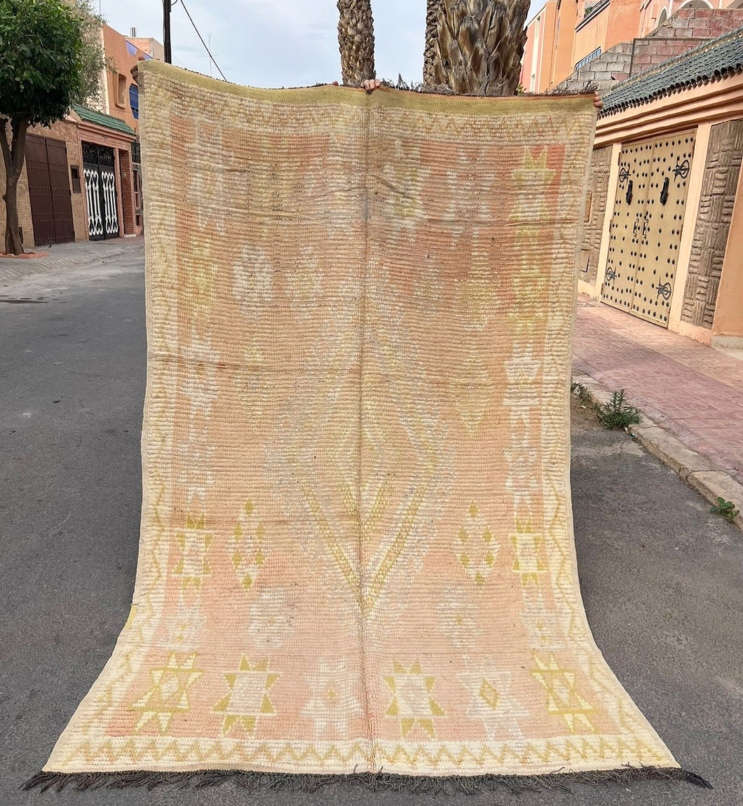 Tapis Boujaad Vintage Sari 3